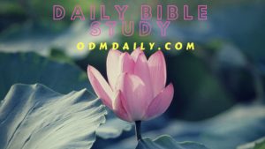 Our Daily Manna 10 September 2019