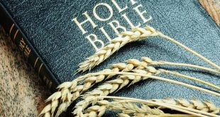 Bible reading for today