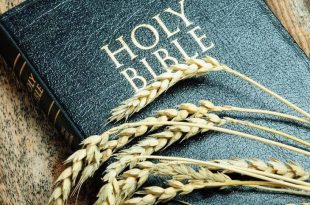 Bible reading for today