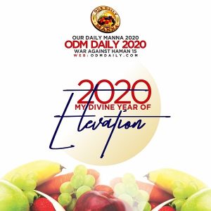 Unfailing Promises For High Flyers/Champions in Year 2020