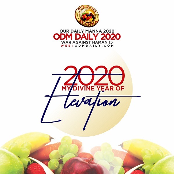 elevation odm 2020