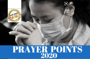daily manna online 2020