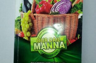 Our Daily Manna 20th Edition & Last Quarter 2020