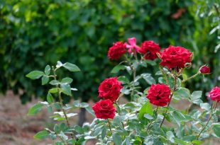 Happy New Month: Welcome to June 2025!