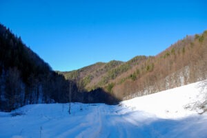 FOLLOW HE KNOWS THE WAY THERE! ODM Inspiration