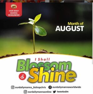 Our Daily Manna 19th August 2021