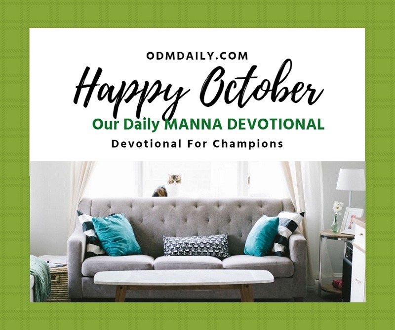 What you need to know about 🍂 October: The Golden Month of Transformation ODM for October