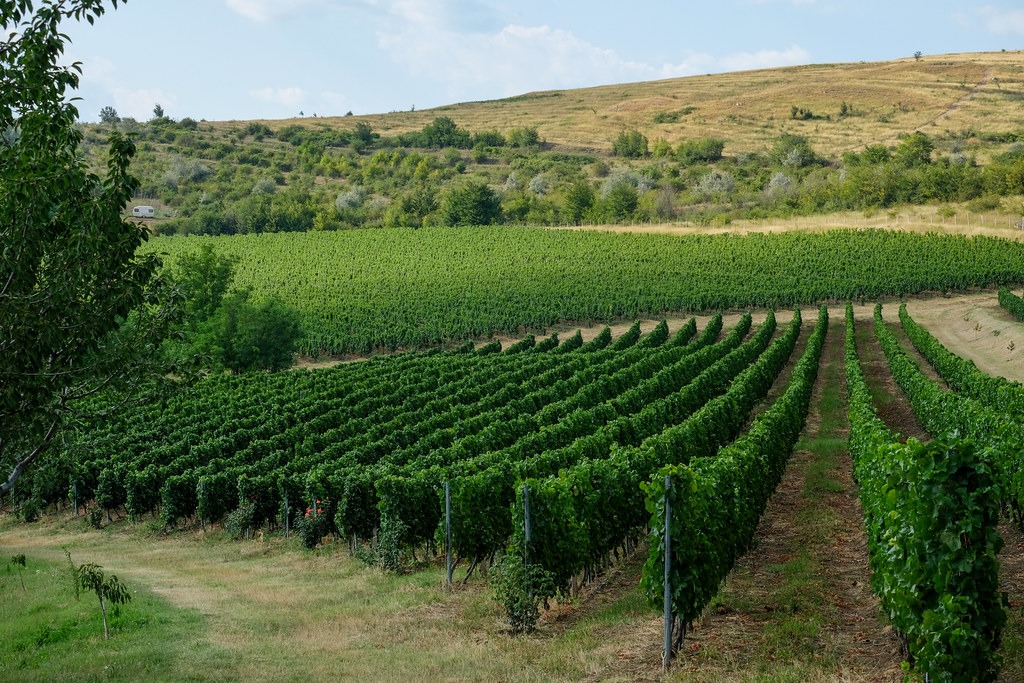 BIBLE LESSONS FROM NATURE Proverbs 30:15-33