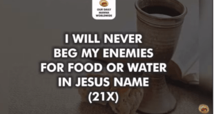 Our Daily Manna For Champions 22nd November 2021