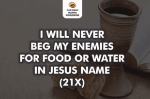 Our Daily Manna For Champions 22nd November 2021