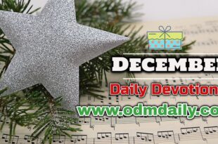 odm december