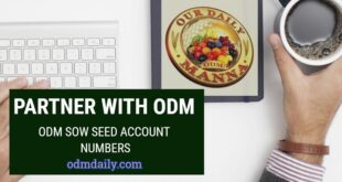 odm sow seed
