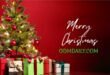 odmdaily Christmas