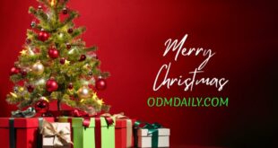odmdaily Christmas