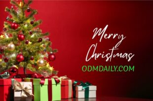 odmdaily Christmas