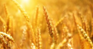 60 Powerful Daily Affirmations