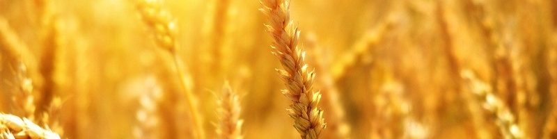 60 Powerful Daily Affirmations